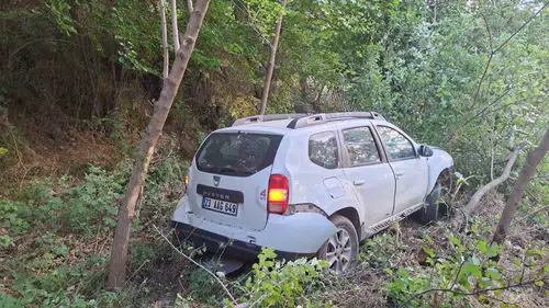 Bingöl yolunda kontrolden çıkan araç bahçeye devrildi