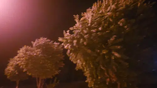 Elazığ’da bunaltıcı sıcaklar gece saatlerinde yerini sert rüzgarlara bıraktı