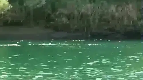 Dicle Nehrinde Piknik Sırasında Devrilen Bottan Bir Genç Kadın Hayatını Kaybetti
