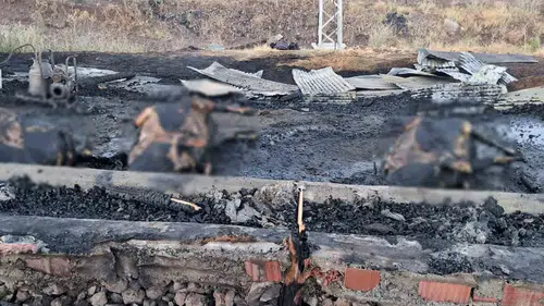 Elazığ'da gebe 3 inek ahır yangınında kül oldu