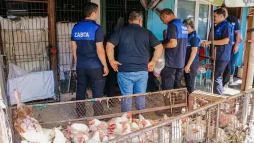Diyarbakır’da hijyen alarmı: Eski Hal bölgesinde 17 işletmeye mühür