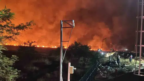 Çınar yolundaki anız yangını ekiplerin müdahalesiyle kontrol altına alındı