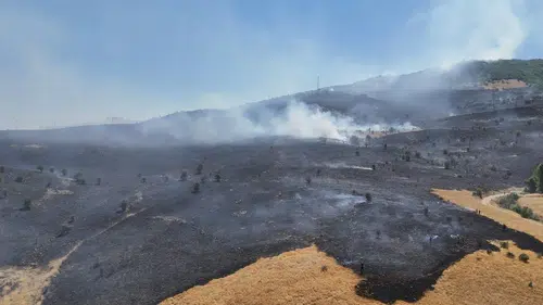 Tunceli ormanlarında çıkan yangın ekiplerin müdahalesiyle kontrol altına alındı
