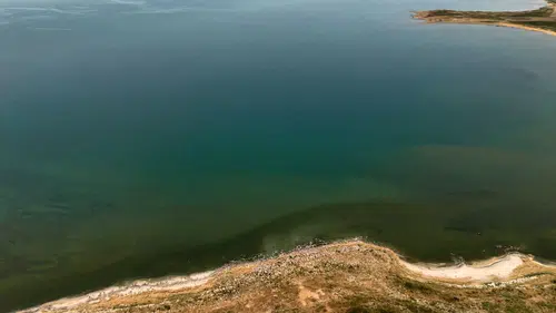 Van Gölü kıyısındaki renk değişimi ilçe sakinlerini şaşırttı