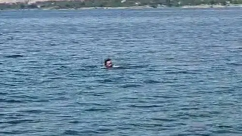Karakaya Baraj Gölü'nü yüzerek geçti