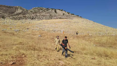 Silvan'daki örtü yangını 400 dönümlük alanı küle çevirdi