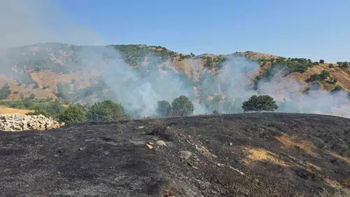 Genç'teki kırsal yangın ekiplerin müdahalesiyle kontrol altına alındı