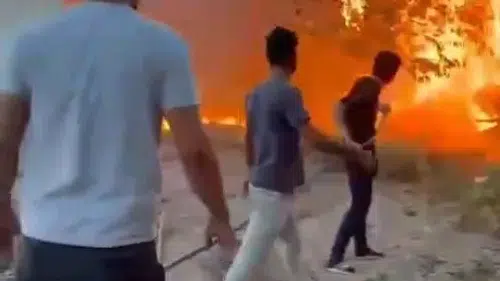 Birecik ilçesindeki ağaçlık alanda çıkan yangın mahalle sakinlerini tedirgin etti