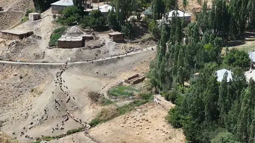 Yüksekova Gedikli mezrasında susuz kalan besiciler çözüm bekliyor