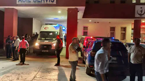 Çüngüş ilçesinde inek saldırısı sonucu bir kişi hastanelik oldu