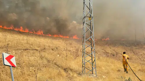 Silvan kırsalındaki yangına havadan ve karadan müdahale sürüyor