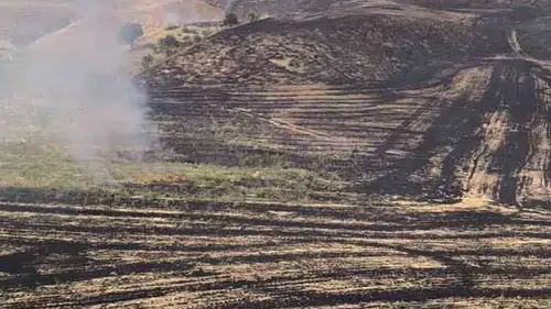 Siirt Kurtalan’da anız yangını meyve bahçesini küle çevirdi