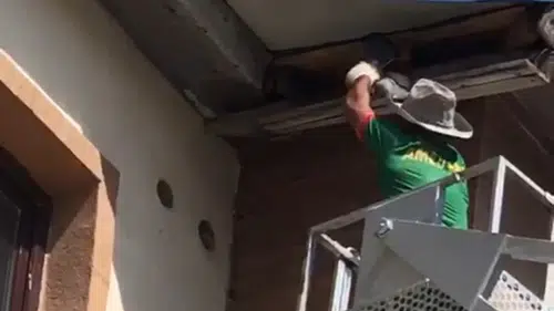 Yüksekova'da mahsur kalan güvercin itfaiye ekipleri tarafından kurtarıldı