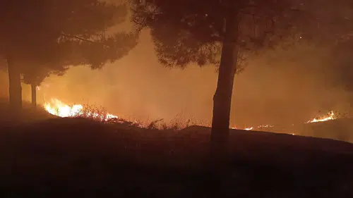 Siirt Kurtalan’daki mezarlıkta gece saatlerinde yangın paniği yaşandı