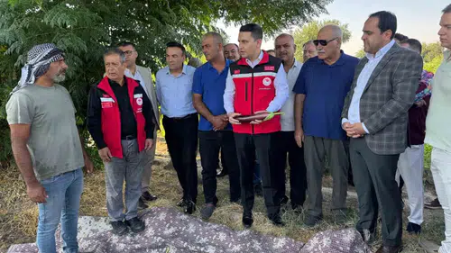 Birecik tarlalarında coğrafi işaretli patlıcan hasadı heyecanı yaşanıyor