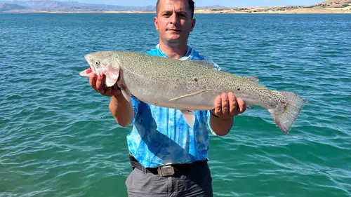 Keban Barajı sularından oltaya takılan dev alabalık şaşırttı