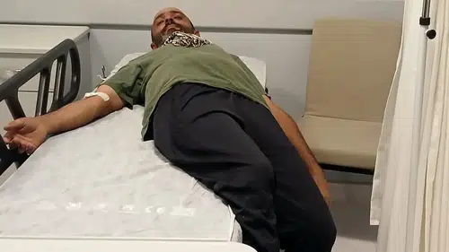Tunceli'de ayı ile karşılaşan çoban kayalıklardan düşerek yaralandı