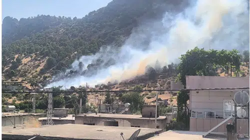 Siirt Baykan'daki orman yangını ekiplerin hızlı müdahalesiyle söndürüldü