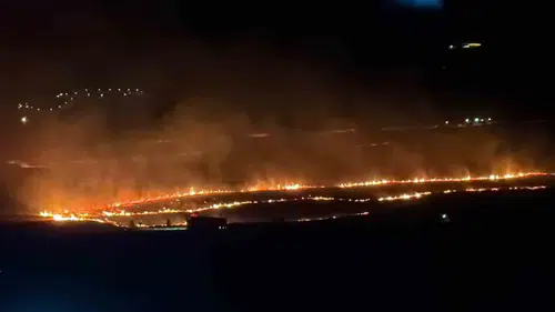 Bitlis’te piknik ateşi 300 dönümlük alanı kül etti