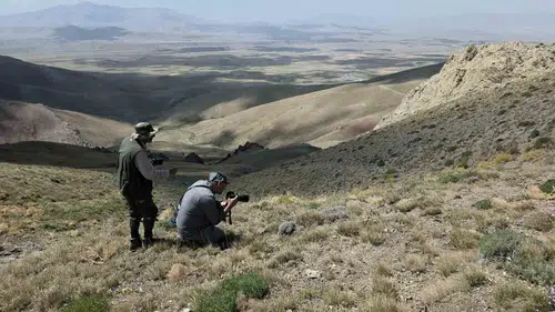 Nadir Türleri Kayıt Altına Almak İçin Van Gölü Havzasına Akın Ettiler
