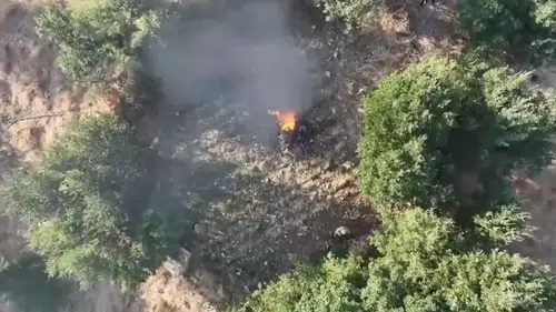 Diyarbakır kırsalında dev narkotik operasyonuyla binlerce kök kenevir imha edildi