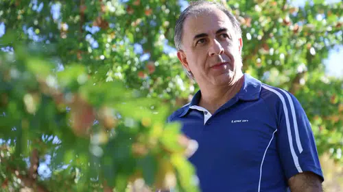 Tekstil Mühendisi arpa tarlasını 9 yılda badem bahçesine çevirdi