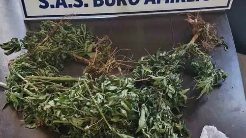 Diyarbakır Dicle'de polisten kaçan şüphelinin evinden uyuşturucu çıktı