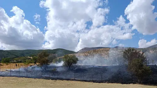 Bitlis Hizan'da örtü yangını ekipleri zorluyor