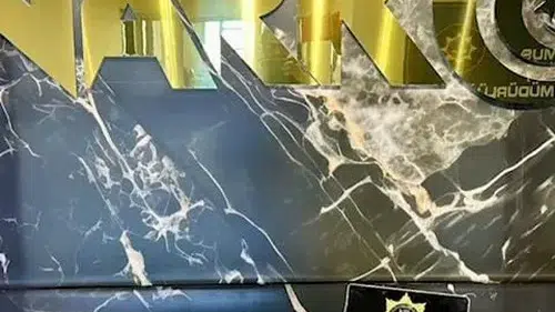 Muş polisinden narkotik operasyonu: Araçta gizli uyuşturucu bulundu