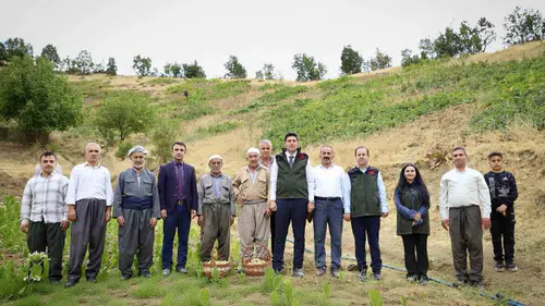 Şemdinli bağlarında bereketli üzüm hasadı dönemi başladı
