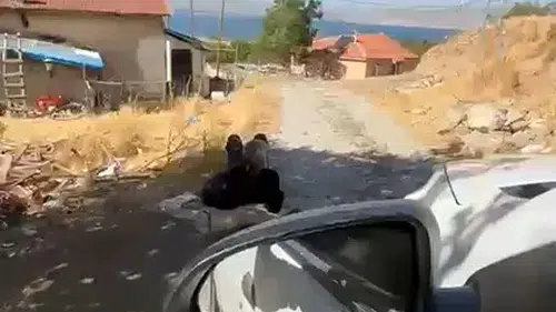 Elazığ'da yaşlı adamın ağaca zincirlenmesi görenleri hayrete düşürdü