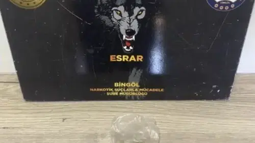 Bingöl Emniyetinden geniş çaplı operasyon 43 kişi yakalandı