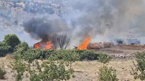 Siirt Eruh'ta çıkan orman yangını uzun uğraşlar sonucu söndürüldü