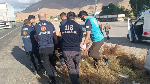 Gevaş ilçesinde ağaca çarpan otomobilde dört kişi yaralandı