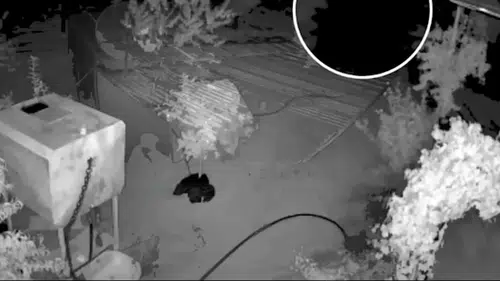 Karaköprü'de bağ evi hırsızlığına jandarma operasyonu