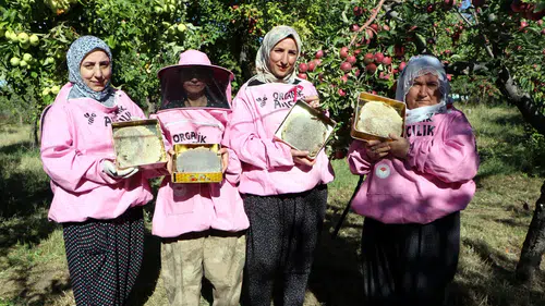 Vanlı kadın arıcılar Artos Dağı eteklerinde kara kovan balı hasadına başladı