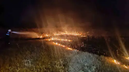 Van Tuşba'da örtü yangını paniği