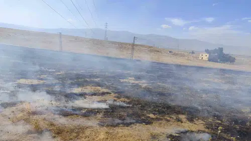Muşta iki farklı noktada çıkan anız yangınları korku dolu anlar yaşattı