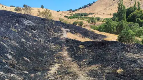 Ergani ilçesinde çıkan anız yangını yüz dönümlük araziyi küle çevirdi