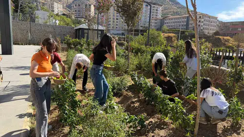 Sason Halk Kütüphanesi bahçesinde öğrenciler kendi sebzelerini yetiştirip hasat etti
