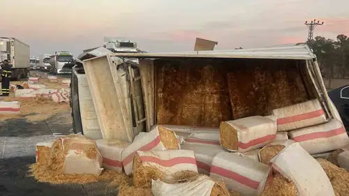 Mardin Kızıltepe yolunda saman yüklü kamyonet devrildi