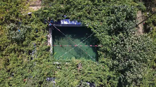 Siirt'in tescilli tayfi üzümü hasadı başladı ve yaprakları Avusturya'ya ulaşıyor