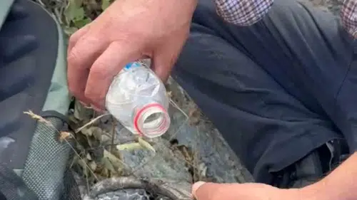 Elazığ'da yangından kaçan kaplumbağaya vatandaşlar sahip çıktı