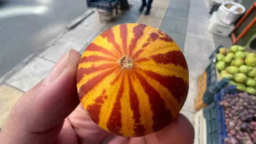Elazığ tezgahlarında nostaljik şamama kavunu dönemi başladı