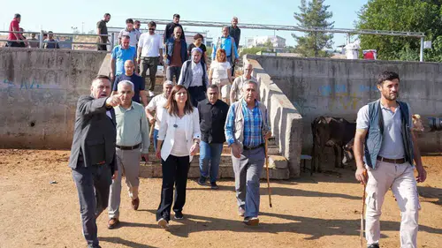 Diyarbakır Hayvan Borsası için kış öncesi acil önlem kararı alındı