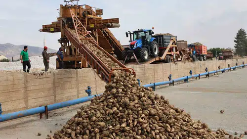 Elazığ Şeker Fabrikası 71. kampanya dönemini törenle başlattı