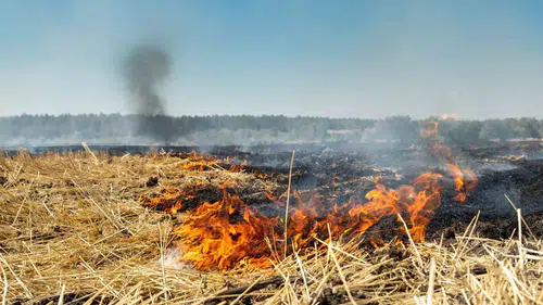 Fırat EDAŞ çiftçileri anız yangınlarına karşı dikkatli olmaya çağırdı