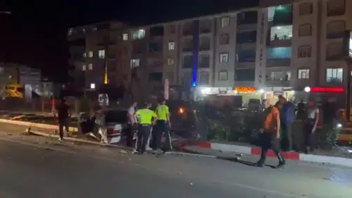 Elazığ Kovancılar'da köpeğe çarpan otomobil direğe girdi