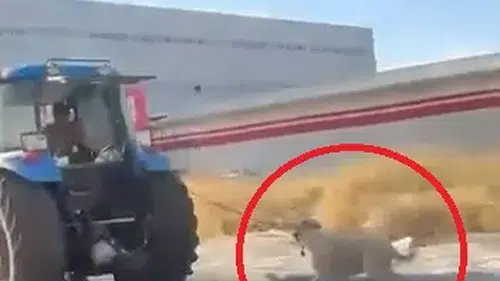 Diyarbakır'da traktöre bağlanan köpeğin zor anları kameraya yansıdı
