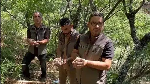 Tunceli'de endemik dağ sarımsağını izinsiz toplayanlara 2 milyon lira ceza